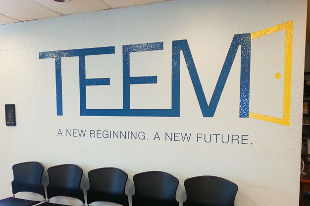 Picture of large vinyl graphic on interior wall that says TEEM.